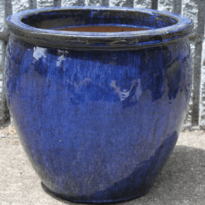 blue-fn