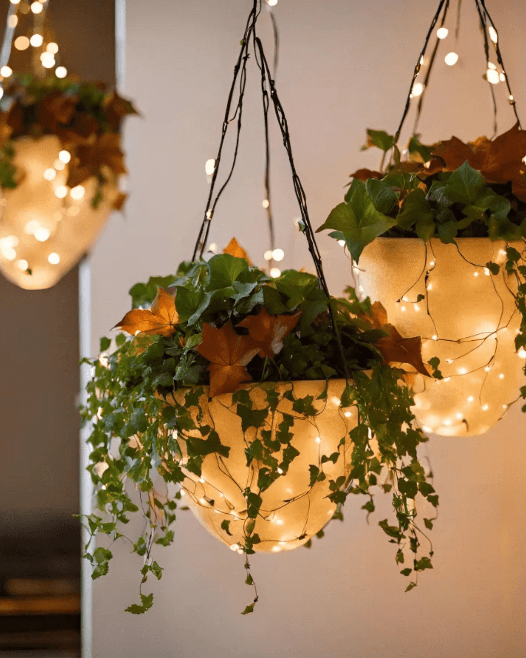 hanging planters with fairy lights