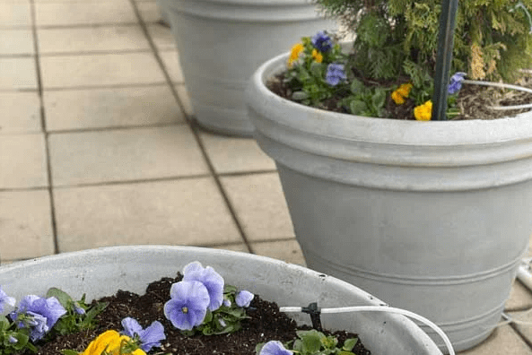 Outdoor Winter Planter Ideas That Keep Every Space Thriving