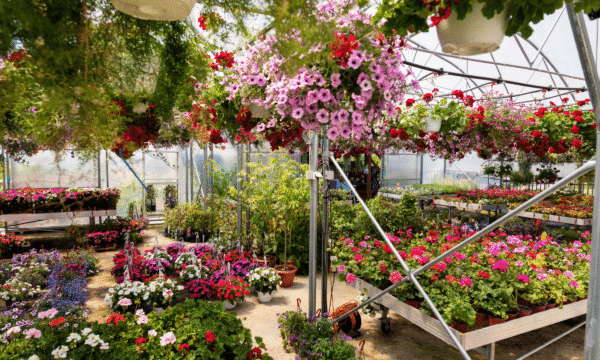 garden-center