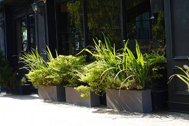 Window on wall with three flowerpot.