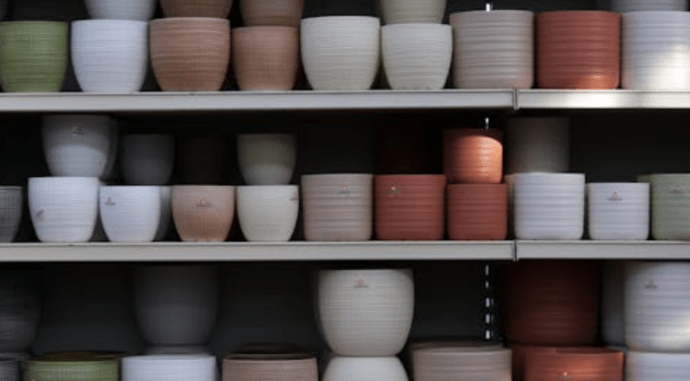 What to Know Before Ordering Planters in Bulk in NYC