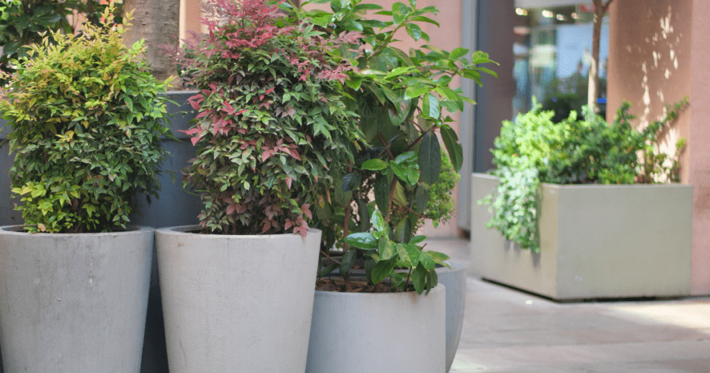 How to Choose Planter Sizes for Curb Appeal and Safety in High-Traffic Areas