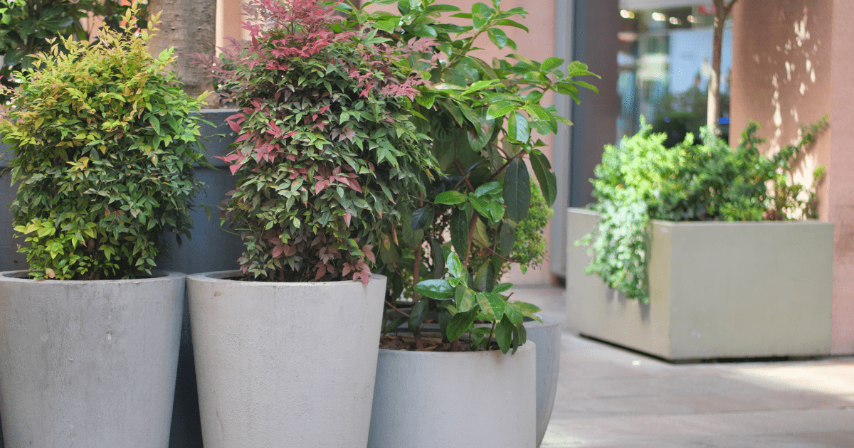 How to Choose Planter Sizes for Curb Appeal and Safety in High-Traffic Areas