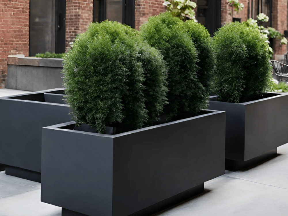 Why Fiberglass Planters Outperform Metal and Concrete in Urban Environments