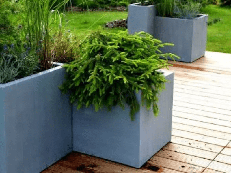 Why Fiberglass Planters Are the Standard for NYC Commercial Projects