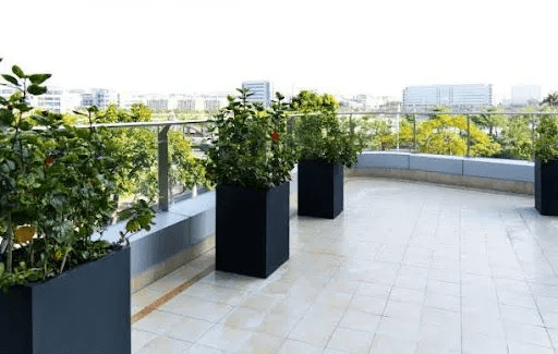 Why NYC Landscapers Choose Lightweight Fiberglass Planters