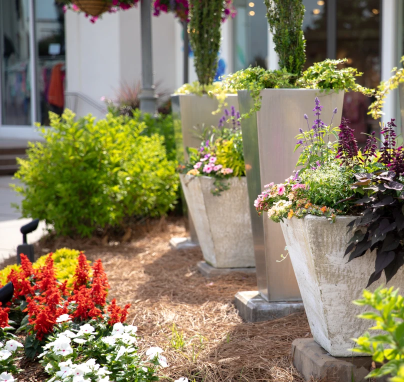Planting Seeds of Hospitality