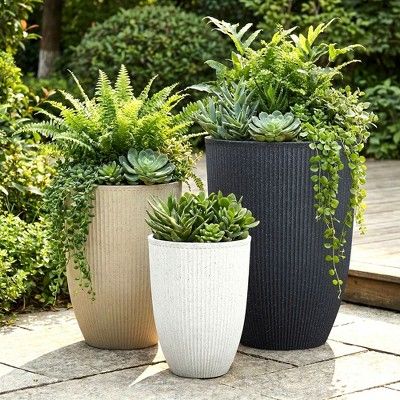 Choosing Wholesale Planters for Your Commercial Project